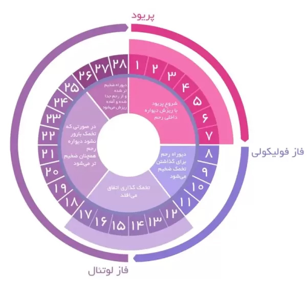 سیکل پـریـود